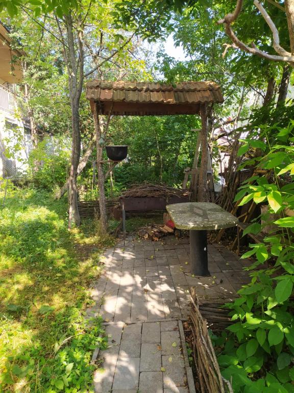 Guest House Shvelidze room 1