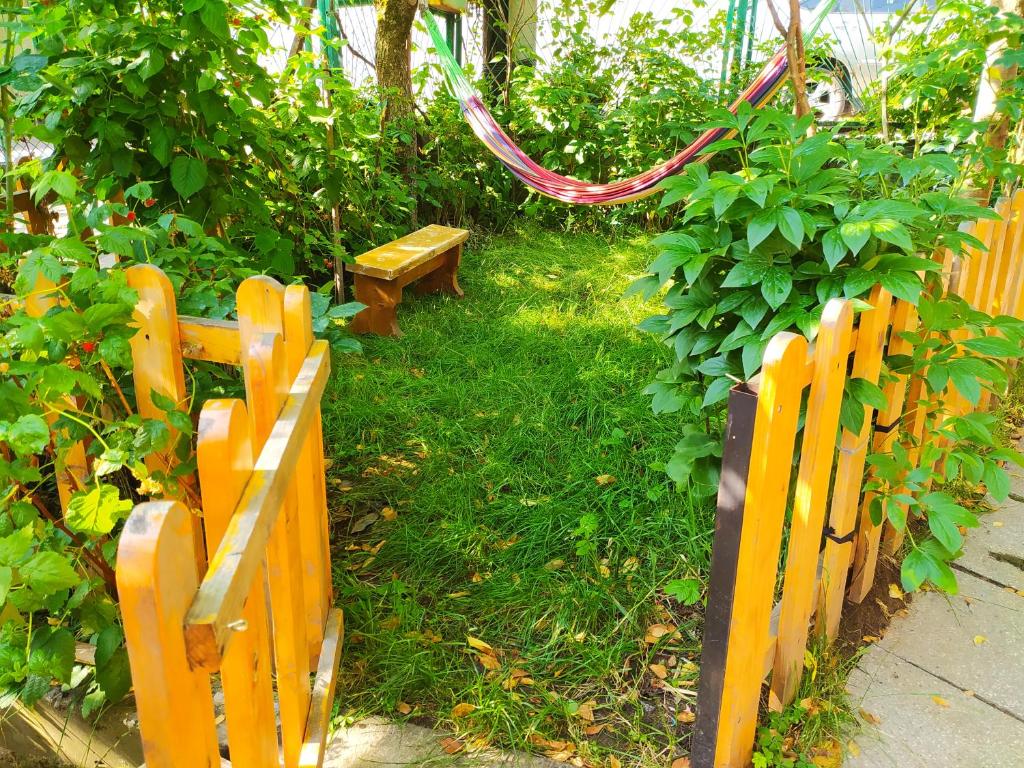 Guest House Shvelidze room 2